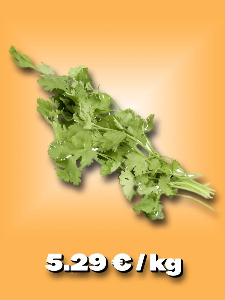 download (31).png